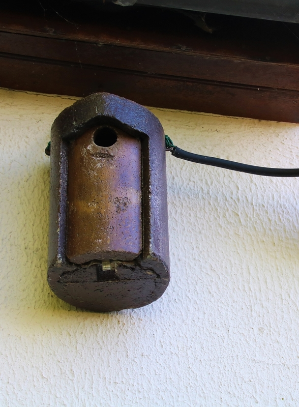 Nidification 2022 Mésanges Charbonnières nichoir schwegler.JPG