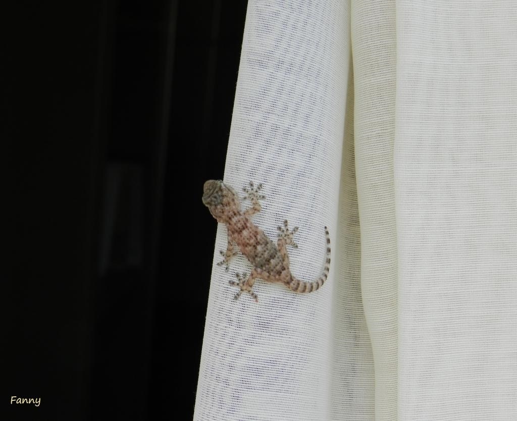septembre 2015 bebe .jpg