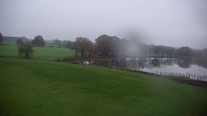 grues 13 12 2022a.jpg