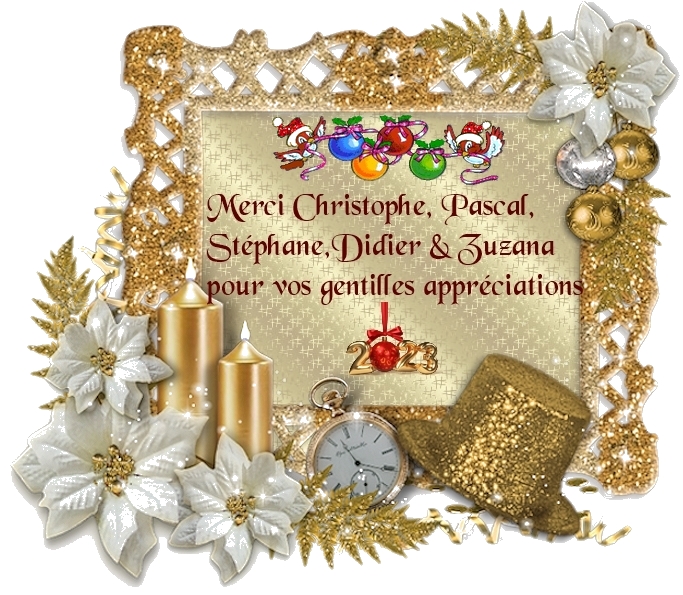 Carte remerciement 2023 Fanny Oiseau .jpg