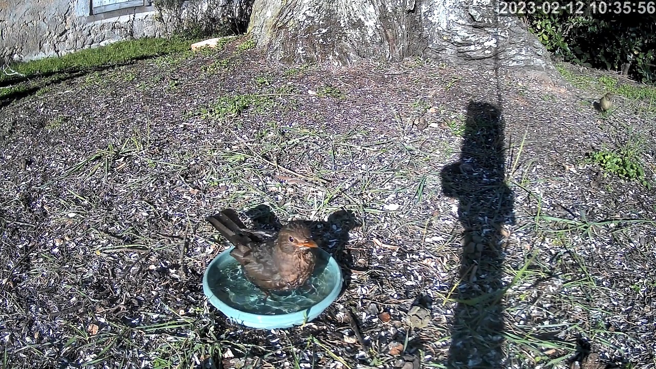 merlette 11 02 2023r.jpg