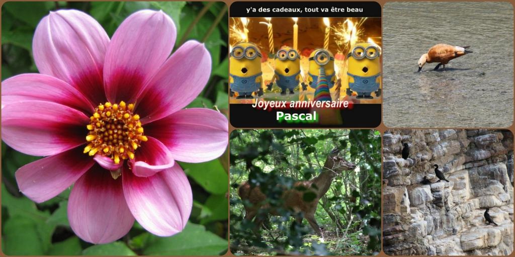 carte-anniv-pascal.jpg