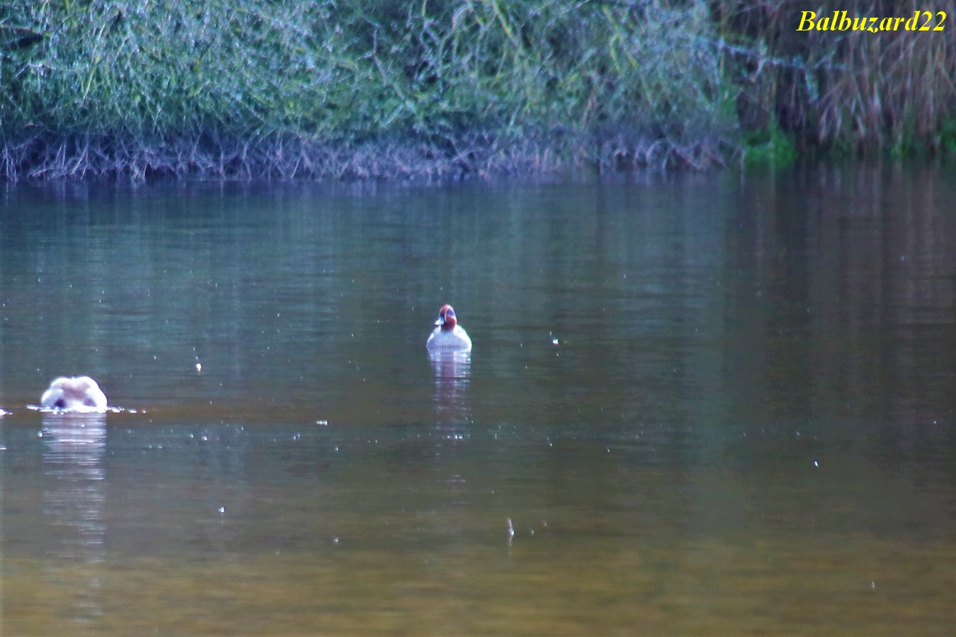 IMG_3535 - Copie.jpg