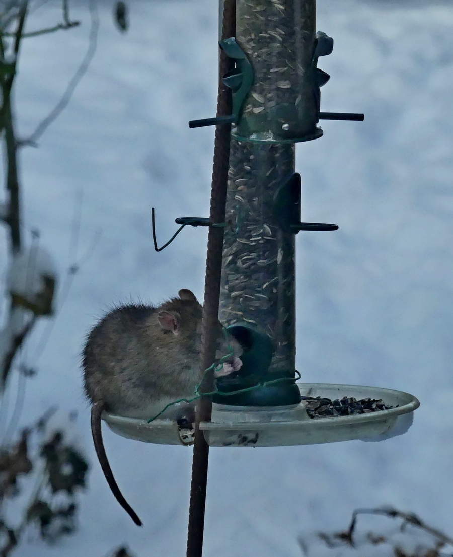 24.01.2024Lumix.jpg_2.jpg
