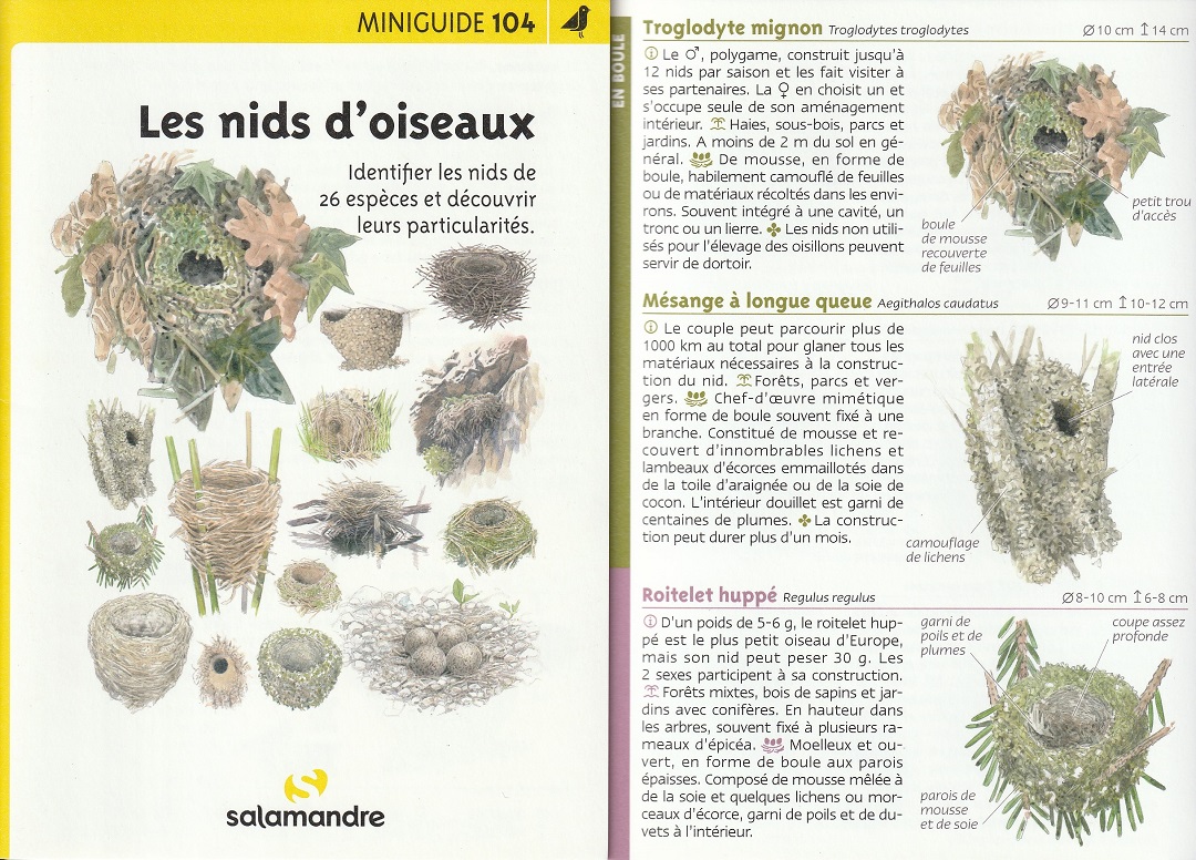 mini guide nids d'oiseaux r.jpg