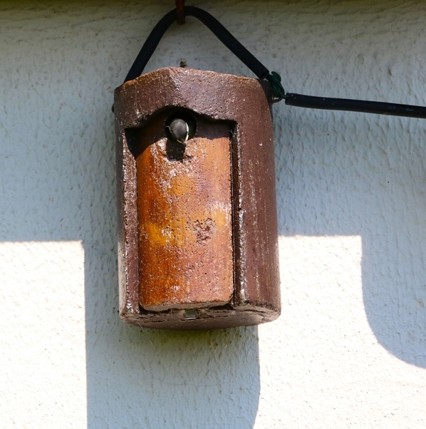 Nidification mésanges charbonnières samedi 11 mai 2024 (2)-crop.JPG