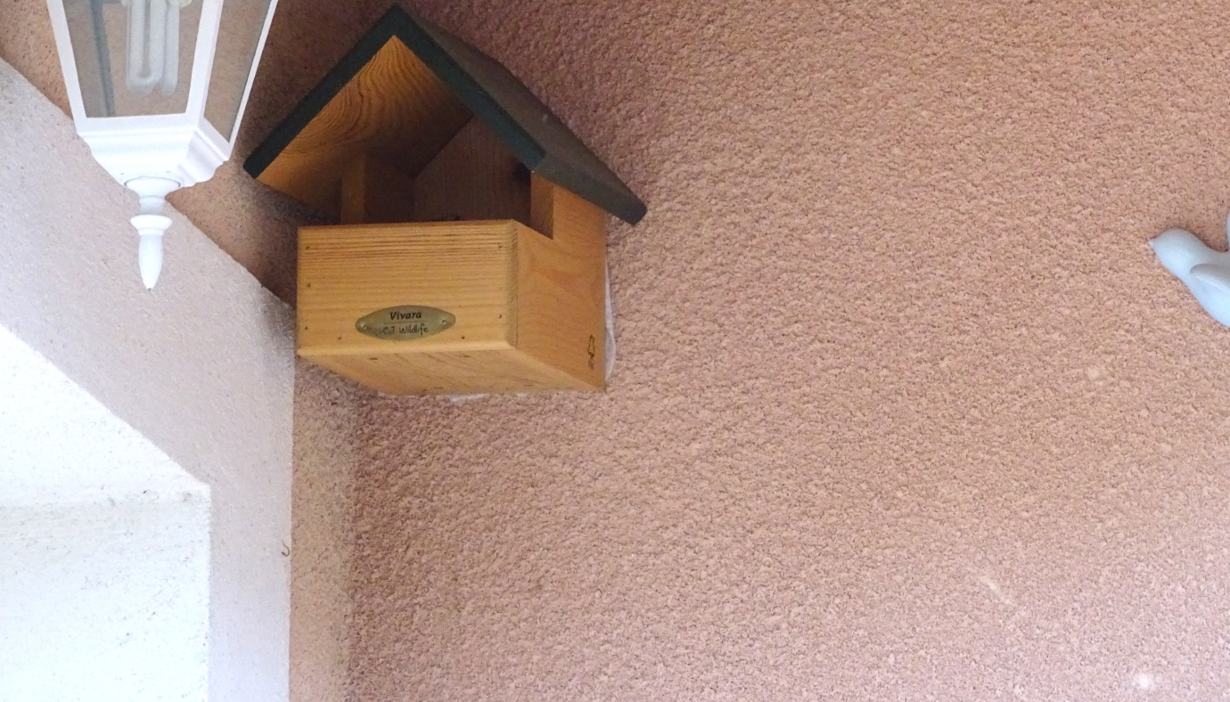 copie DSC01433 (2).jpg