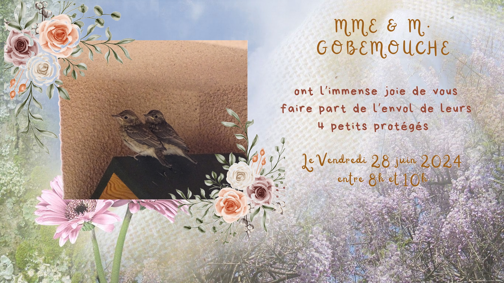 Faire-part de naissance gobemouches.jpg