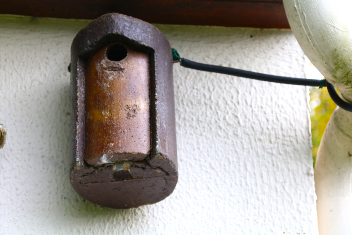 Nichoir Schwegler.JPG