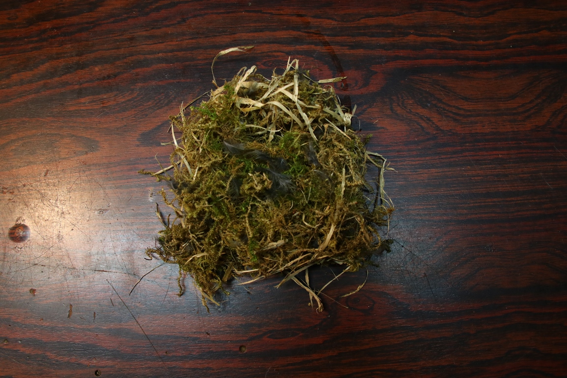 Nid nichoir balcon paille et mousse présence nombreuses petites plumes noires.JPG