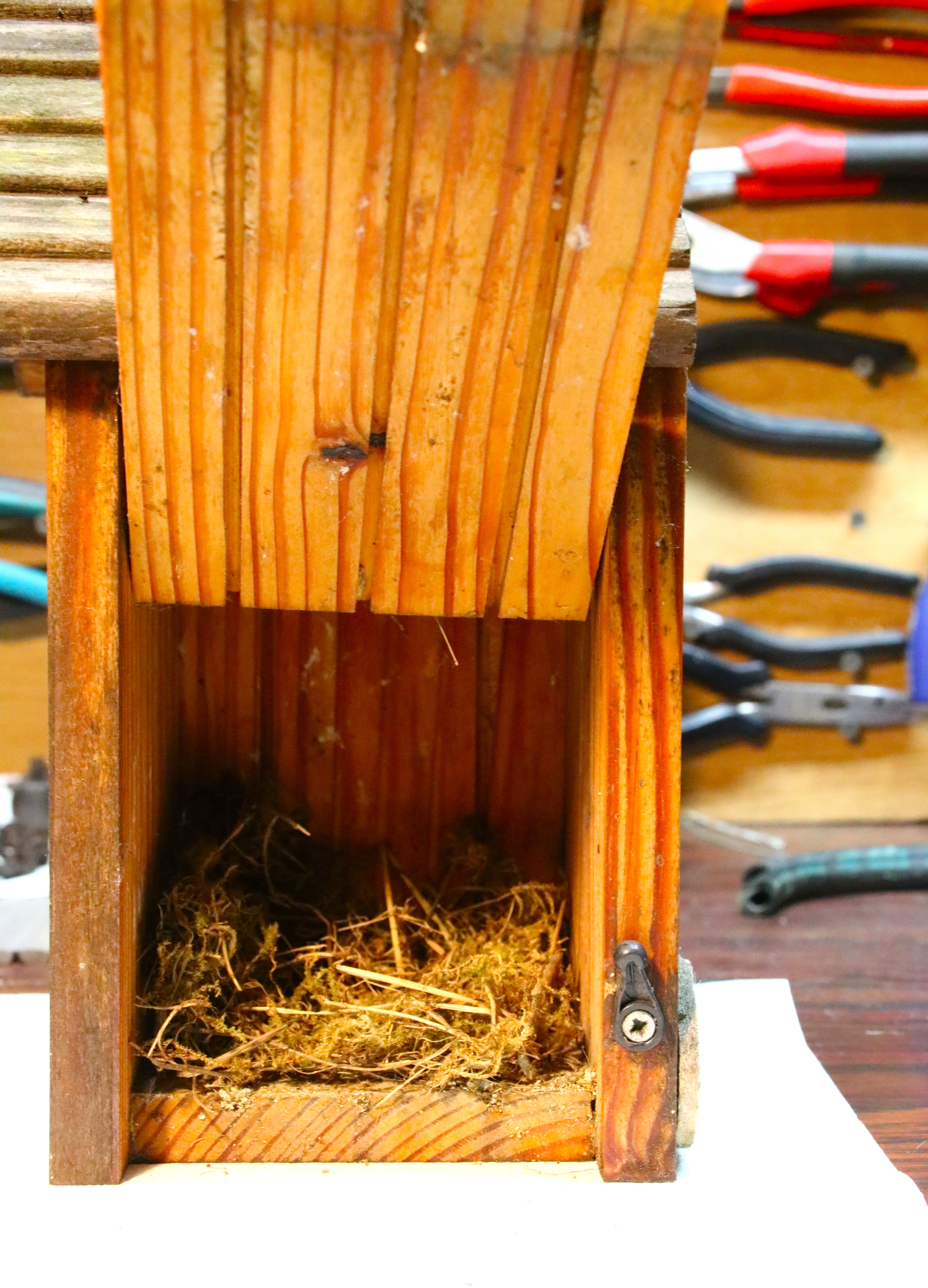 Nichoir porte garage 14 Novembre 2024.JPG