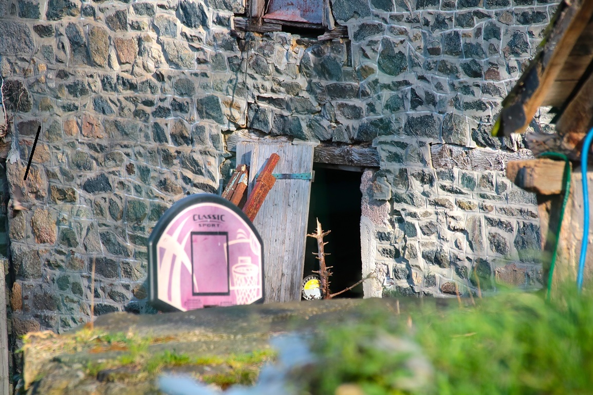 Hirondelles rustiques Morieux 4 Avril 2025 (1).JPG