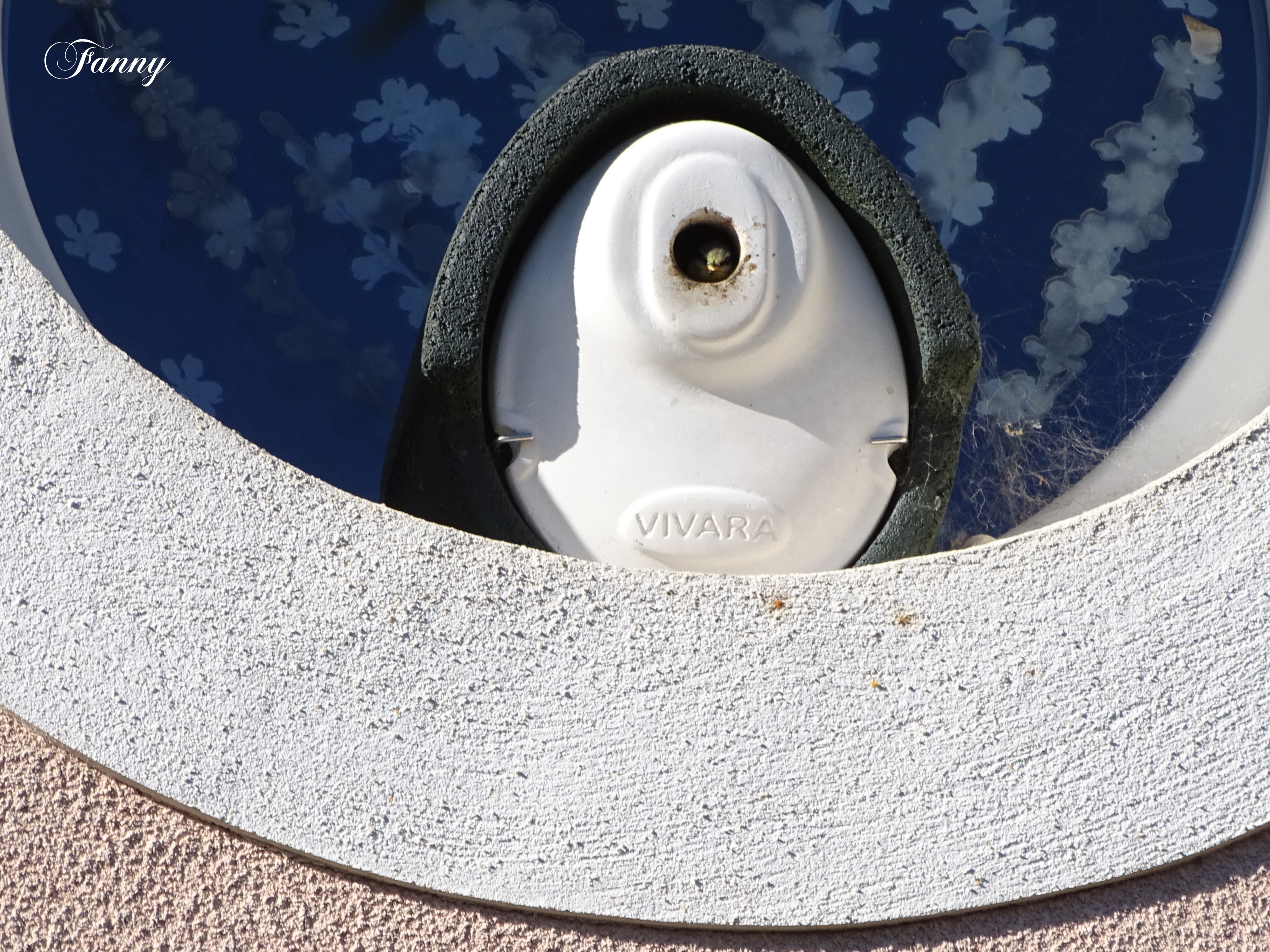 Signée DSC02024.jpg