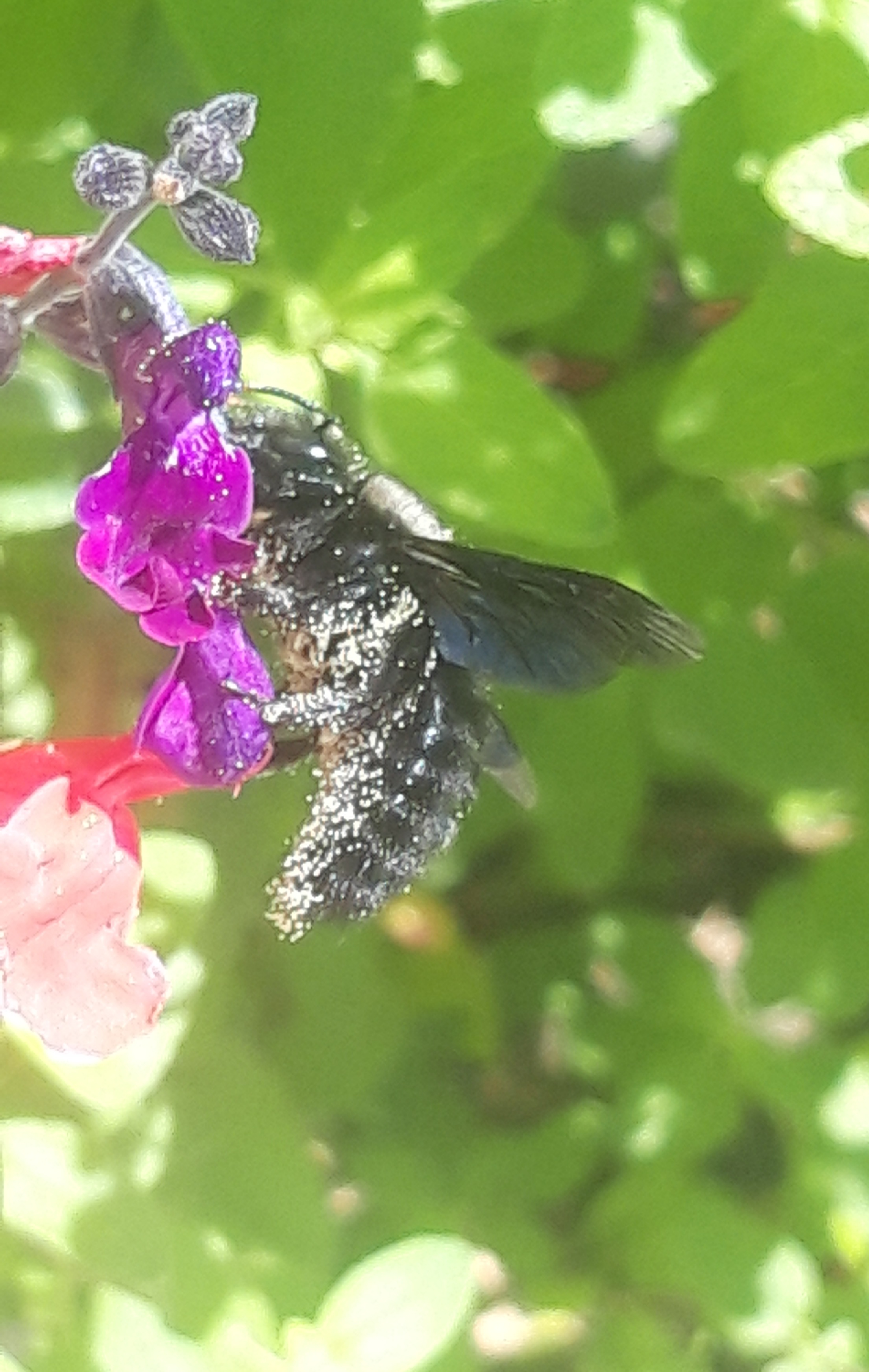 20250915_093500.jpg