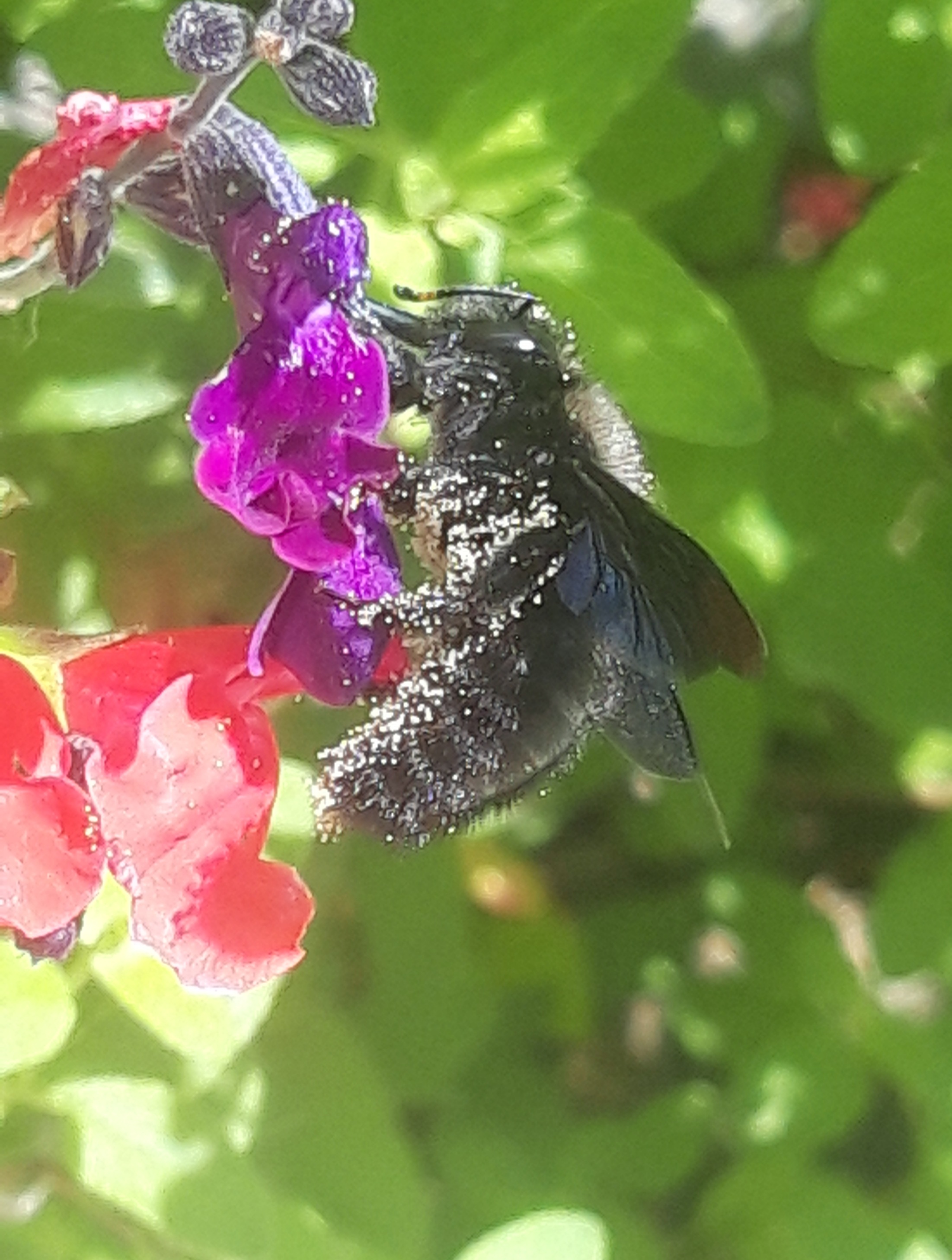 20250915_093521.jpg