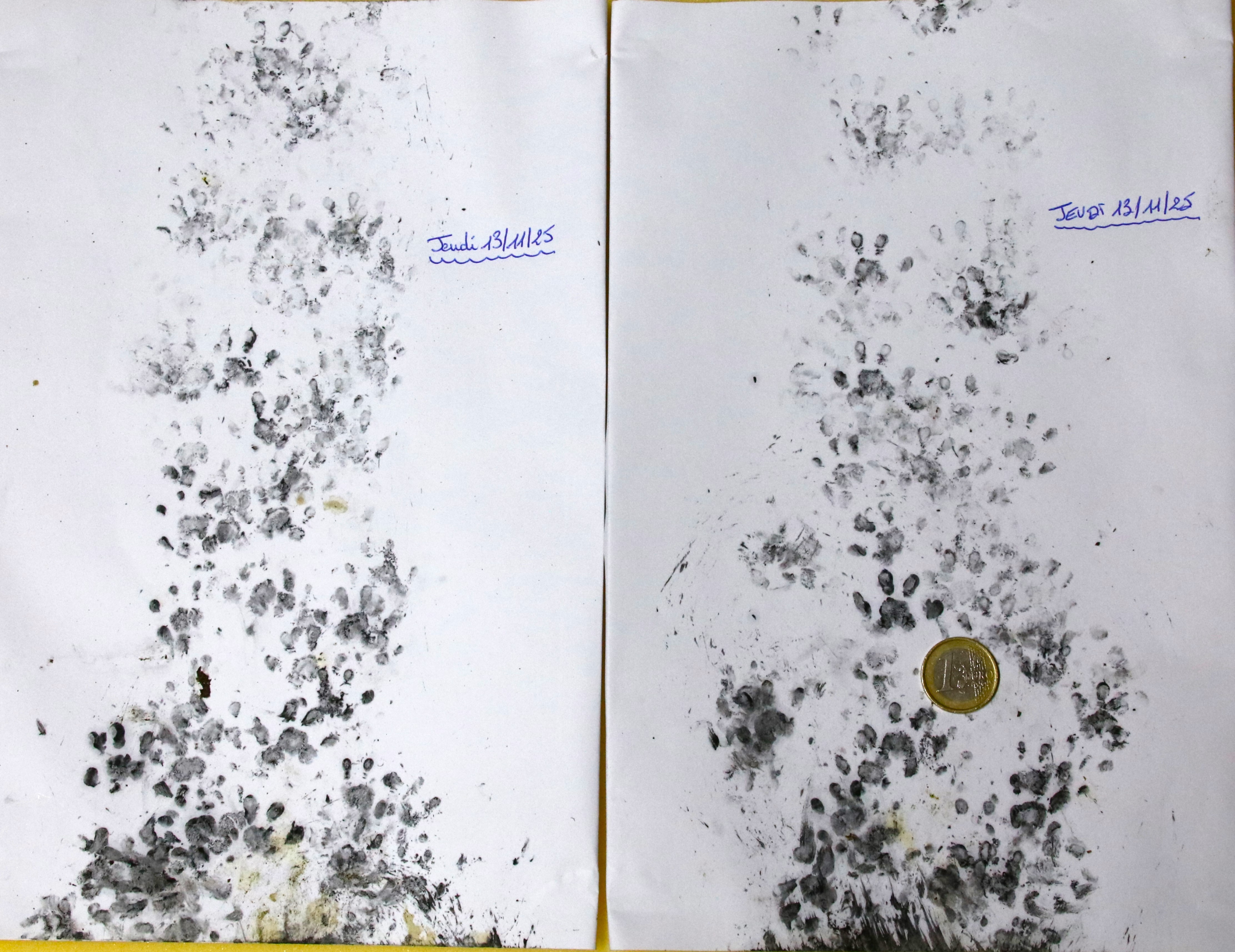 Mission Herisson Jeudi 13 Novembre 2025.JPG