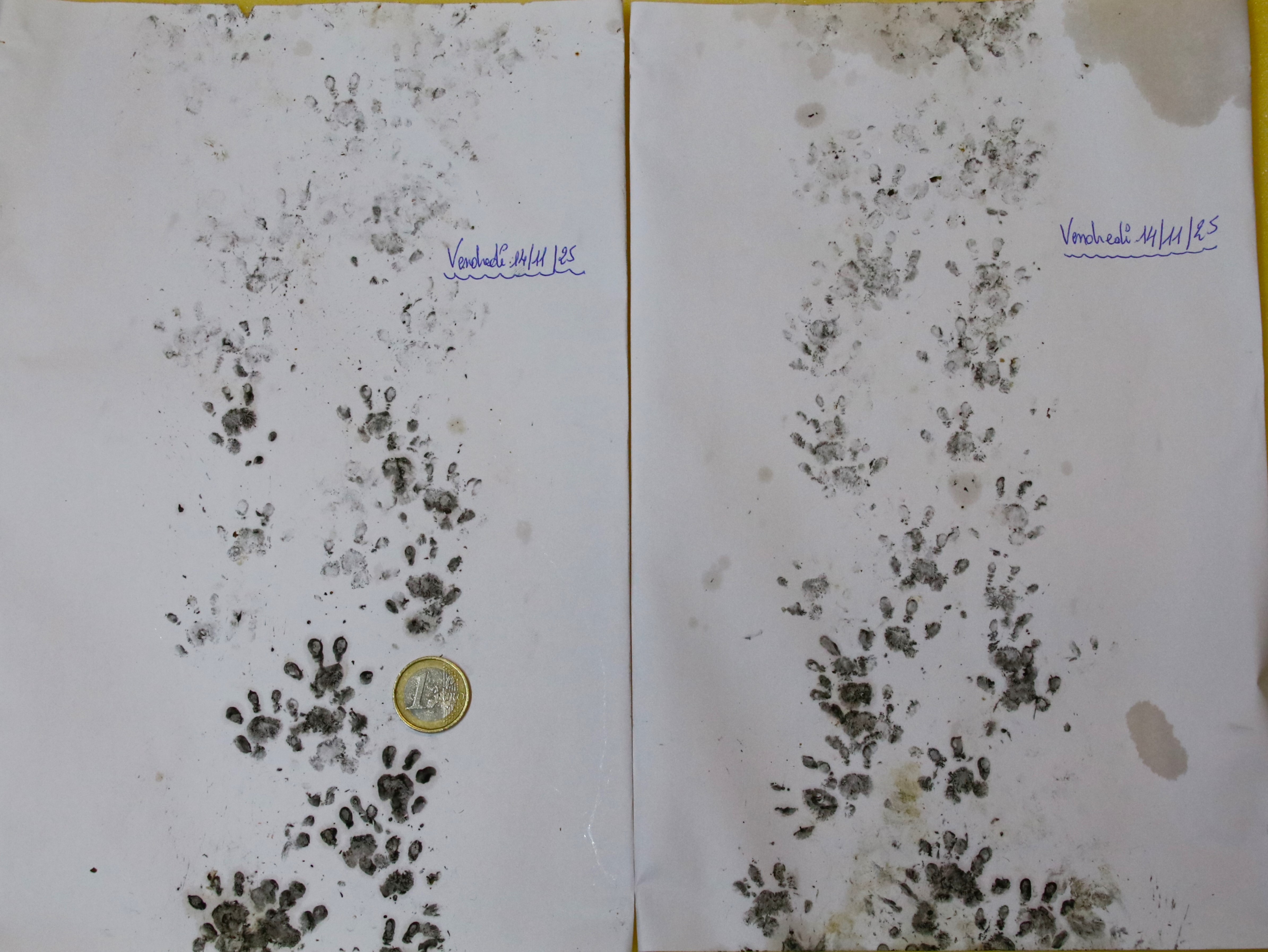 Mission Herisson Vendredi 14 Novembre 2025.JPG