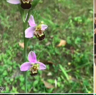 Capture d’écran 2026-02-07 à 07.01.48.png