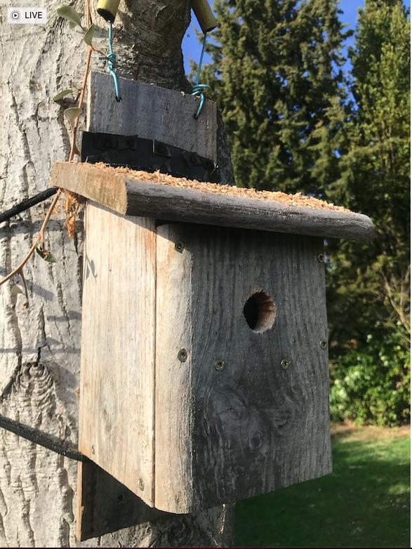 Capture d’écran 2026-02-10 à 20.23.44.png