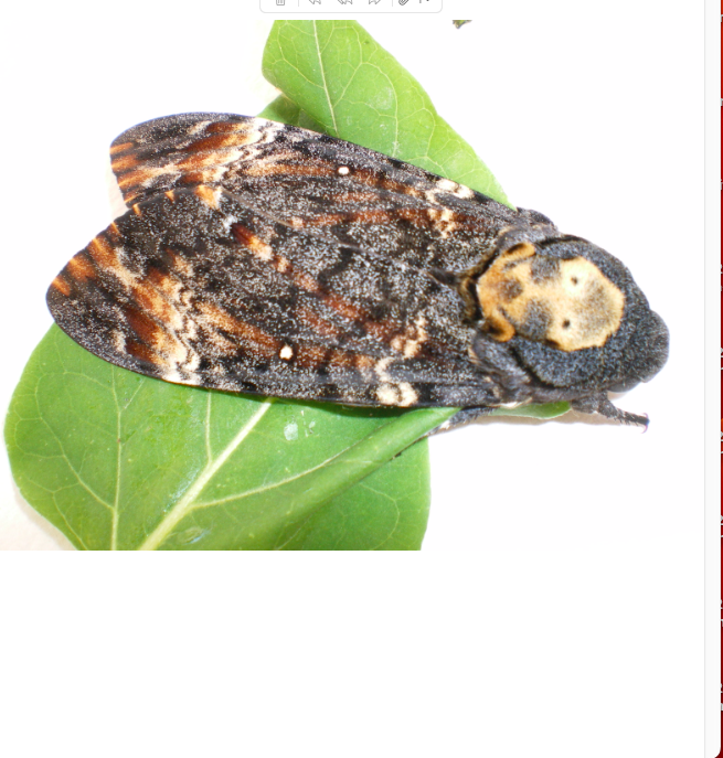 Capture d’écran 2026-02-09 à 23.21.55.png