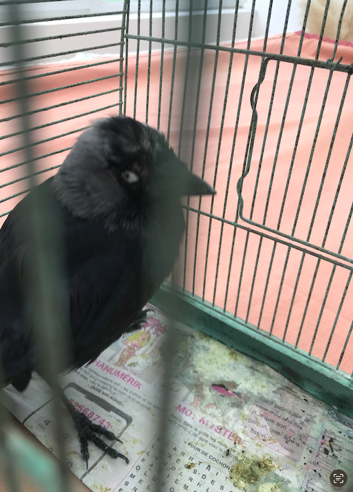 Capture d’écran 2026-02-28 à 10.14.32.png