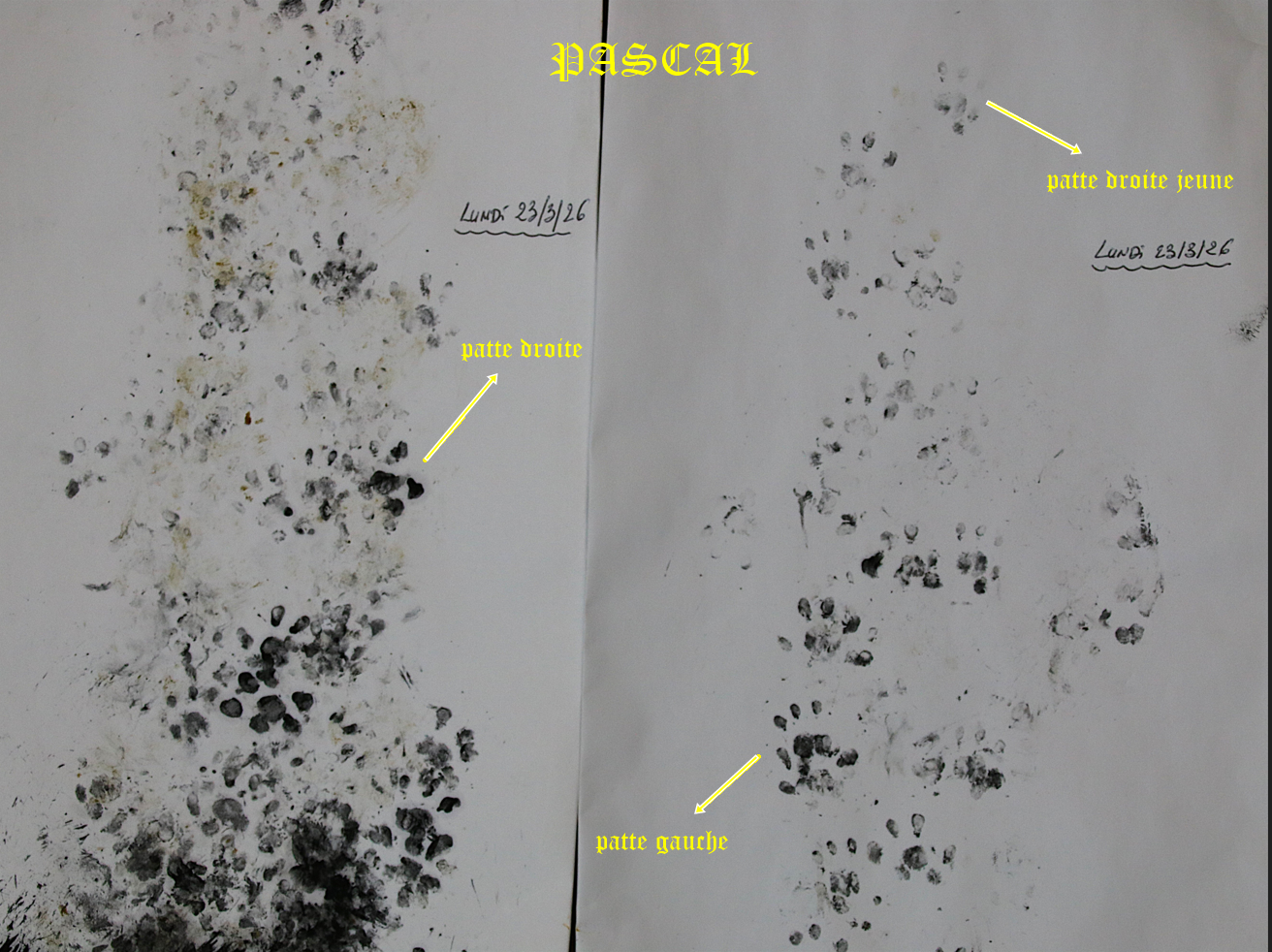 Relevé mission Hérisson Lundi 23 mars 2026-crop.png