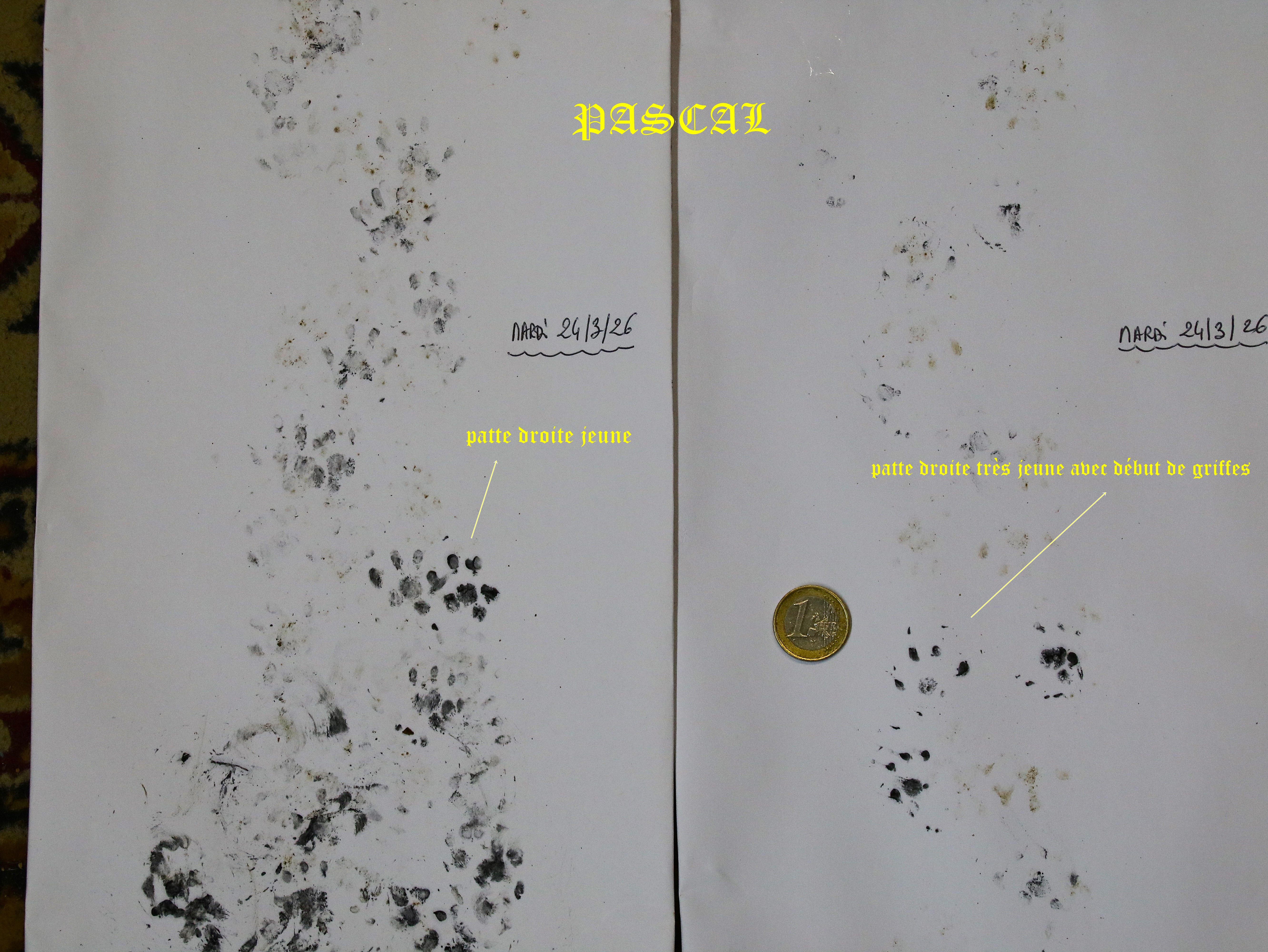 Relevé mission Hérisson Mardi 24 Mars 2026.JPG